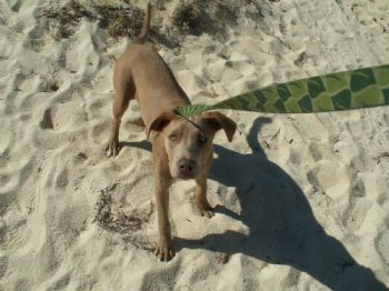 CaptnWild profile photo