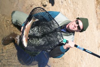 a_sponsa profile photo