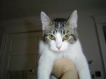 jstein4321 profile photo