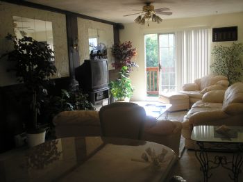 helinataffes profile photo