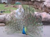 joenorwood77 profile photo