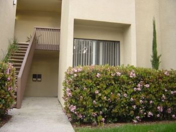 infinitegurl profile photo