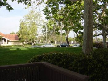 infinitegurl profile photo