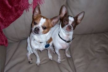 ButterflyMc2 profile photo