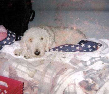 bobw14612 profile photo