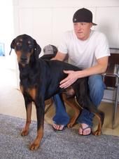 G-Rock profile photo