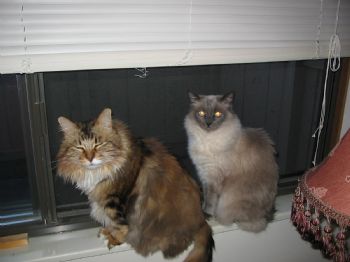 dkay0422 profile photo