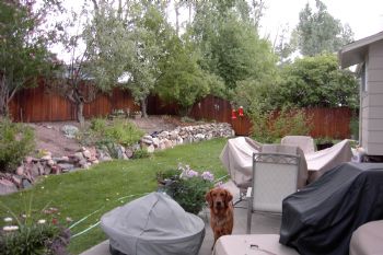 rotorhead profile photo