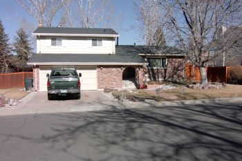 rotorhead profile photo