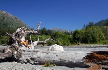 MIKECURTIS profile photo