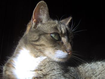 MichalR profile photo