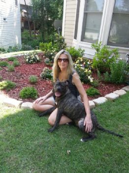 travelsingle profile photo