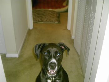 Nmincey profile photo