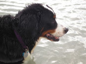 jenniferp profile photo