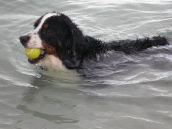 jenniferp profile photo