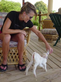 jenniferp profile photo