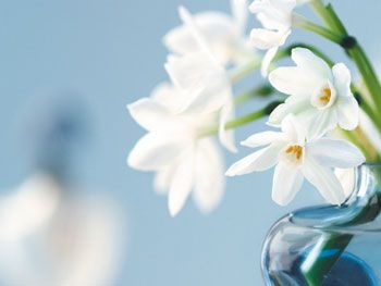 hillary21 profile photo