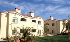 thar287 profile photo