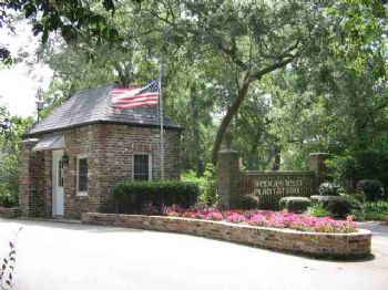 dhansel profile photo