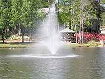 LukePenny profile photo