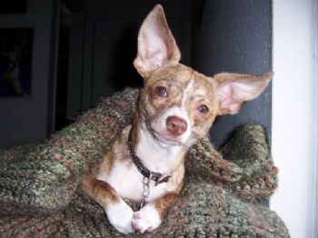 cetineaarie profile photo