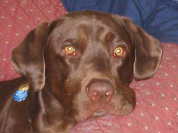 mariah251 profile photo