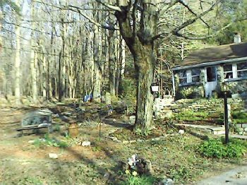 shgart profile photo