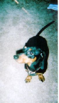 jamie84m profile photo