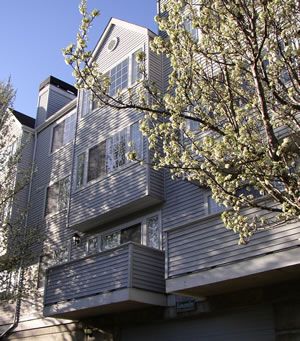 dwall12181 profile photo