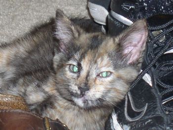 Wingnut85 profile photo