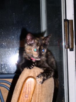 Wingnut85 profile photo