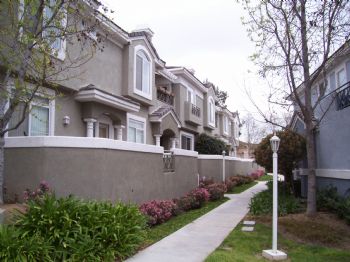 travolta profile photo