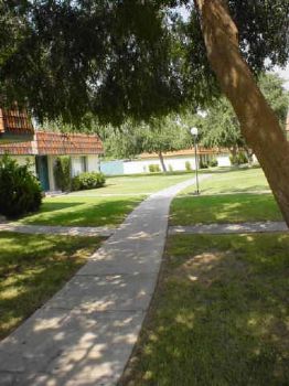 tonyo1 profile photo