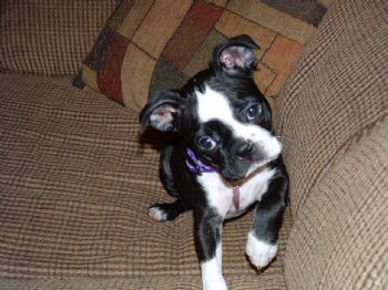 hmwelsh profile photo