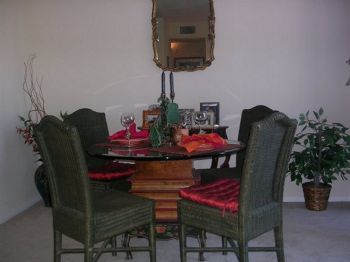 MarciAptOC profile photo