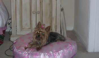 MarciAptOC profile photo