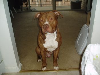 mtcamp profile photo