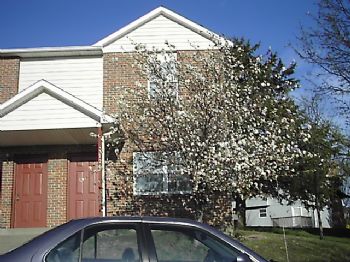 mah482 profile photo