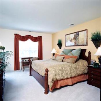 davidwest44 profile photo