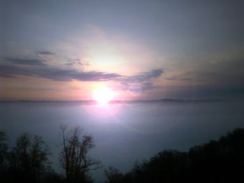 kutzkev profile photo