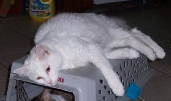 Aequitas1216 profile photo