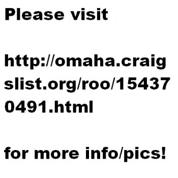 schmidtj2 profile photo