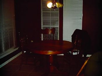 adenicola profile photo