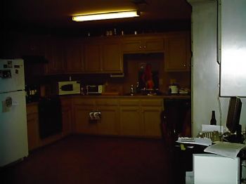 adenicola profile photo