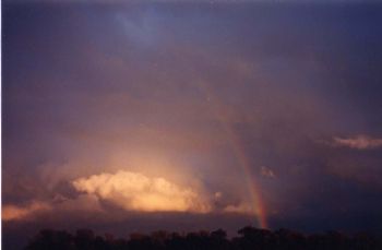 pa3962000 profile photo