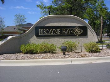 nick0811 profile photo