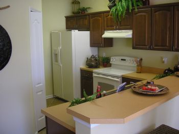 nick0811 profile photo