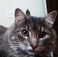 adrienne0110 profile photo