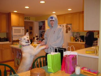 ajajaajj profile photo