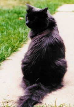 missjean73 profile photo